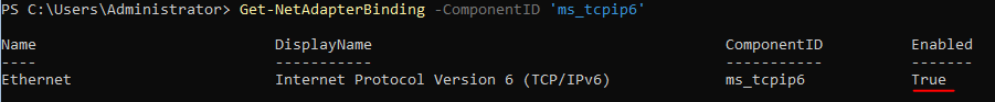 Get-NetAdapterBinding